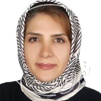 انیس فردموسوی