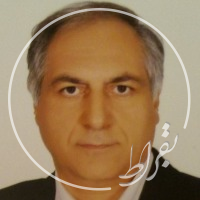 دکتر سیدفرید عاملی