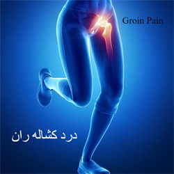درد کشاله ران