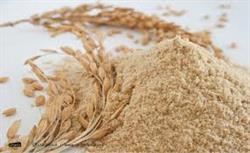 سبوس برنج و فواید مصرف آن