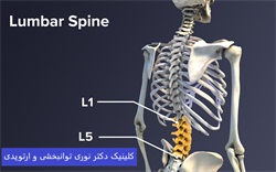ستون فقرات