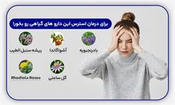 راهکارهای عملی کنترل استرس و اضطراب در طب سنتی ایرانی